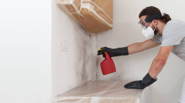 Professional Bathroom Mold Removal technician working in Lincoln Park, NJ