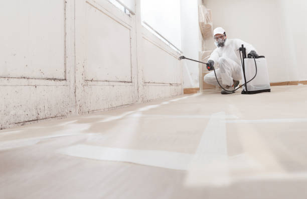 24/7 Emergency Bathroom Mold Removal experts in Lincoln Park, NJ